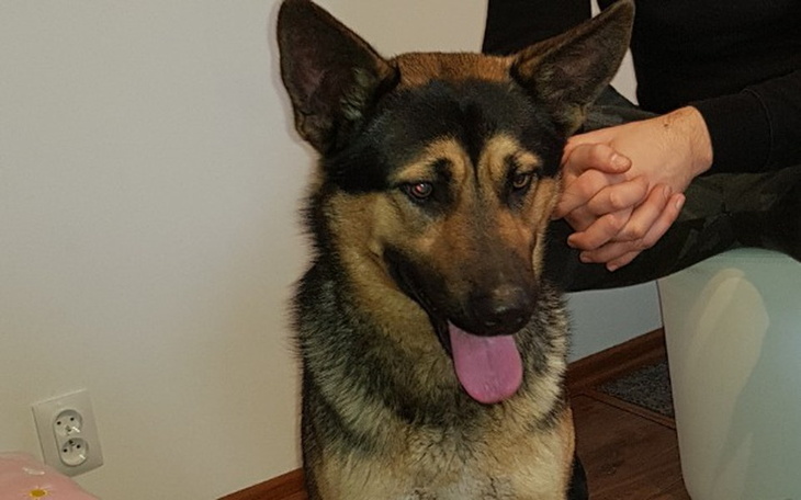 Zbiórka Pomoc dla Radarka - zdjęcie główne