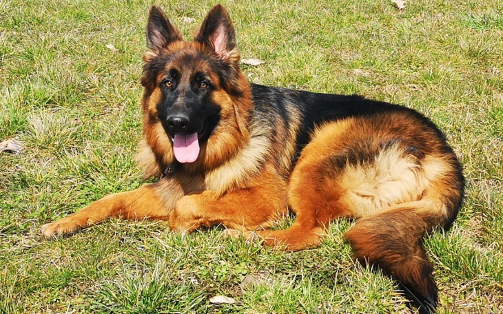 Zbiórka Też chcę być szczęśliwa - zdjęcie główne