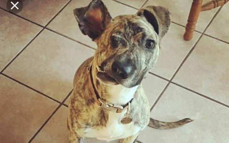 Zbiórka To przez pomyłke - zdjęcie główne