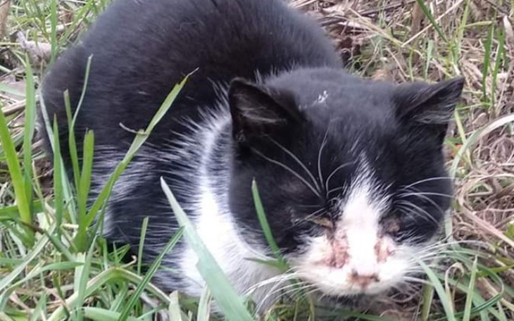 Zbiórka Kasieńka - zdjęcie główne