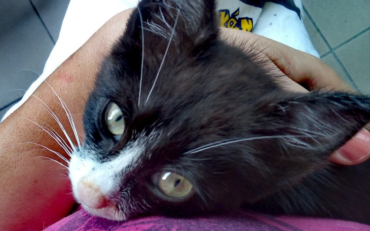 Zbiórka Lepsze jutro Savicona - zdjęcie główne