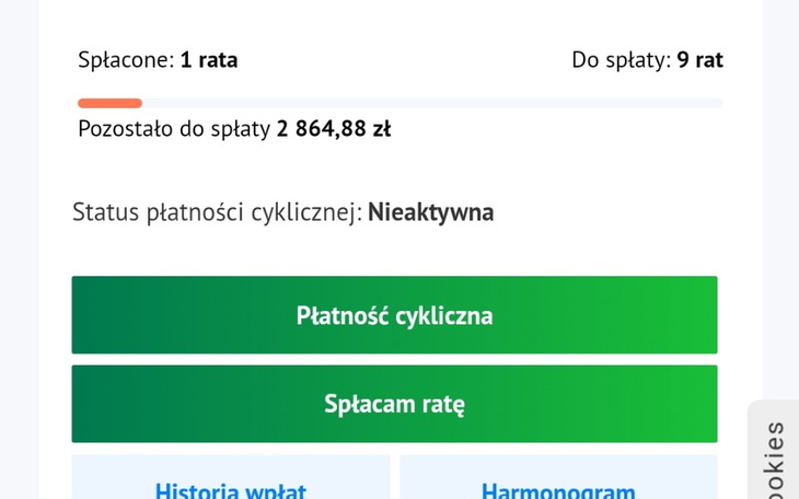 Zbiórka Zadłużenie pozyczki - zdjęcie główne