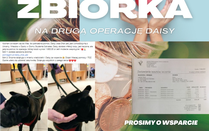 Zbiórka Na operację Daisy - zdjęcie główne