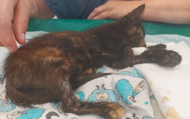 Zbiórka Na operację dla Julki - zdjęcie główne