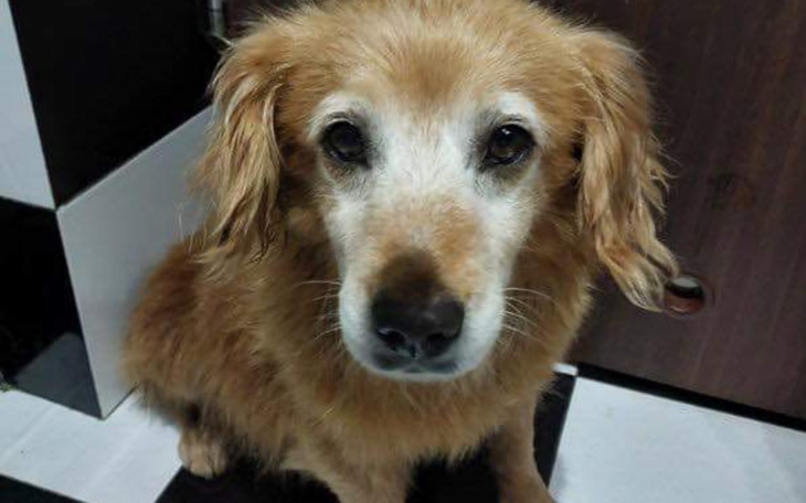 Zbiórka Transport do Judyty - zdjęcie główne