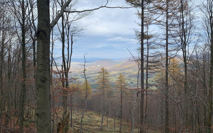 Zbiórka Zbiorka na własne wesele - zdjęcie główne
