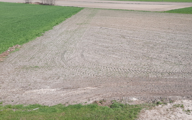 Zbiórka Milion złotych w rok - zdjęcie główne