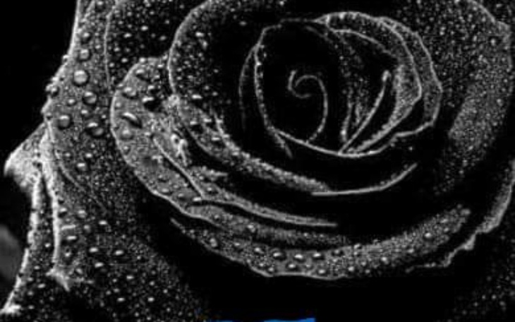 Zbiórka na ciepłe posiłki i chemie - zdjęcie główne