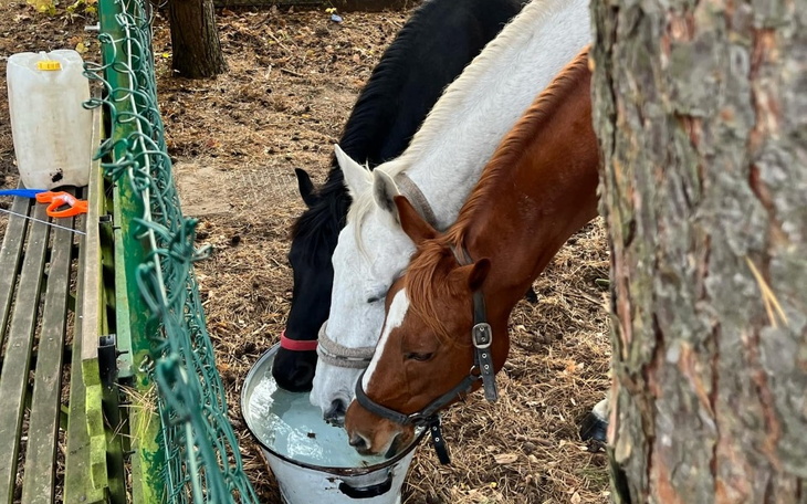 Zbiórka Kolejny transport siana - zdjęcie główne