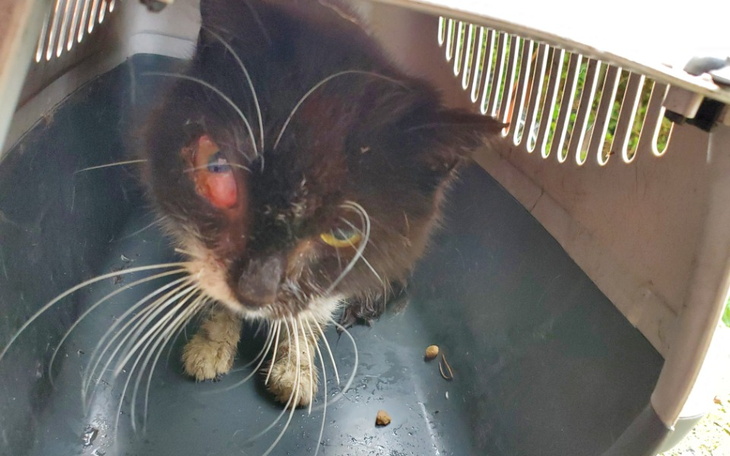 Zbiórka ZBIORKA ZAKOŃCZONA - dziękuję - zdjęcie główne