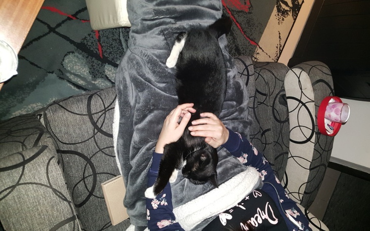 Zbiórka Operacja ginekologiczna - zdjęcie główne