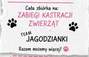 Zbiórka Półmaraton za kastracje? - miniaturka zdjęcia