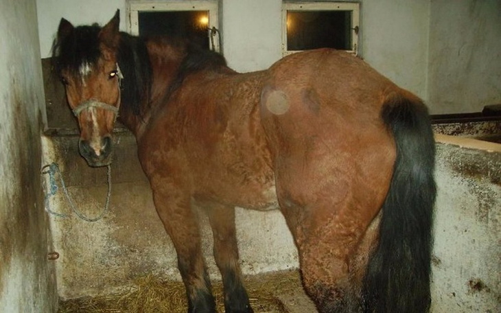 Zbiórka Kuba chce żyć! - zdjęcie główne