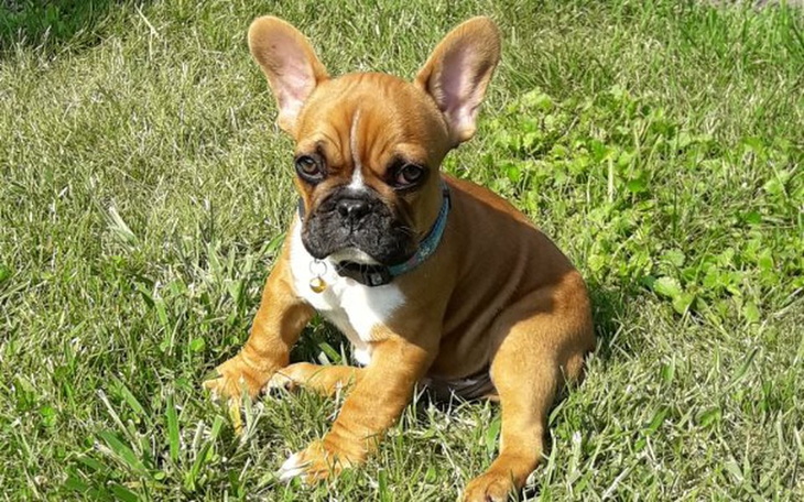 Zbiórka Pomóżmy Stefanowi dorosnąć - zdjęcie główne