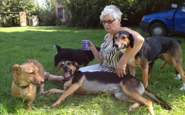 Zbiórka karma dla DT Wandzi - zdjęcie główne