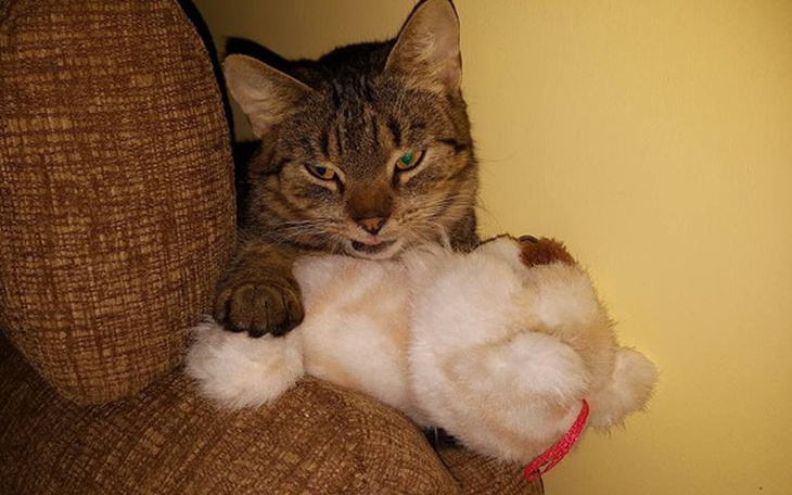 Zbiórka Wcierek prosi o pomoc - zdjęcie główne