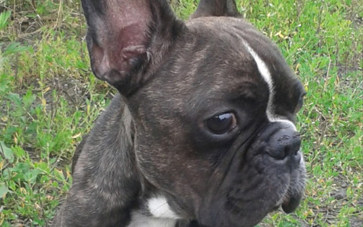 Zbiórka Gacus - zdjęcie główne