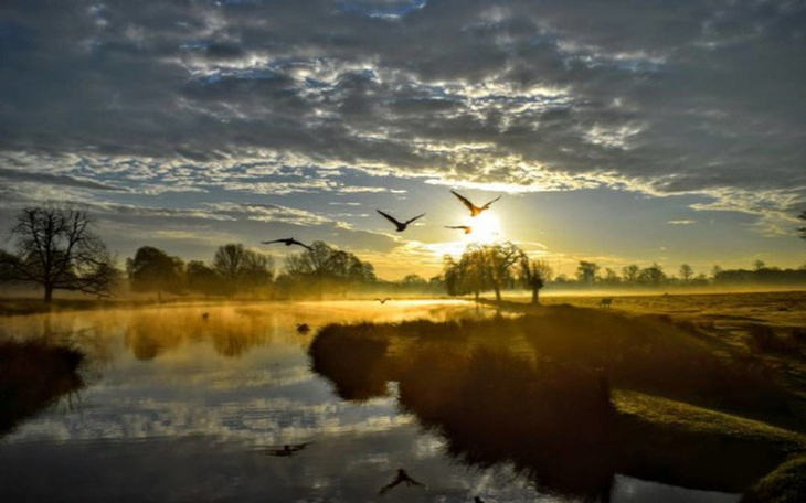 Zbiórka Marzenie nasze - zdjęcie główne