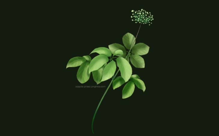 Zbiórka Zdrowi i Odporni - zdjęcie główne