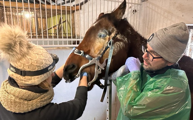 Zbiórka Operacja Cziko - zdjęcie główne