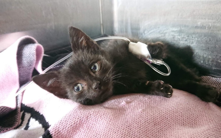 Zbiórka Ratujemy maleńkiego Bogusia - zdjęcie główne