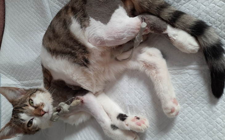 Zbiórka TeoChceSkakac2 - zdjęcie główne