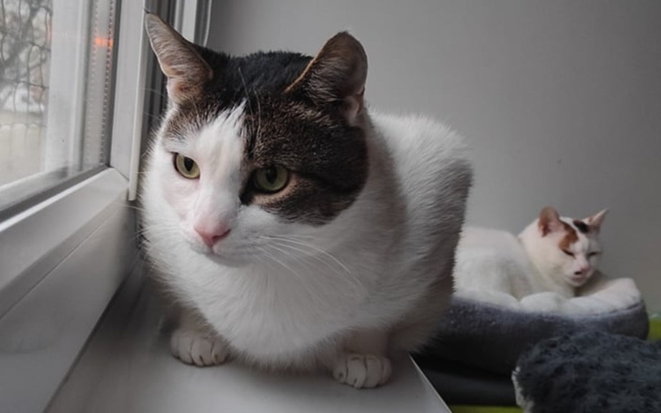 Zbiórka Styczeń w Malinowym Zdroju - zdjęcie główne