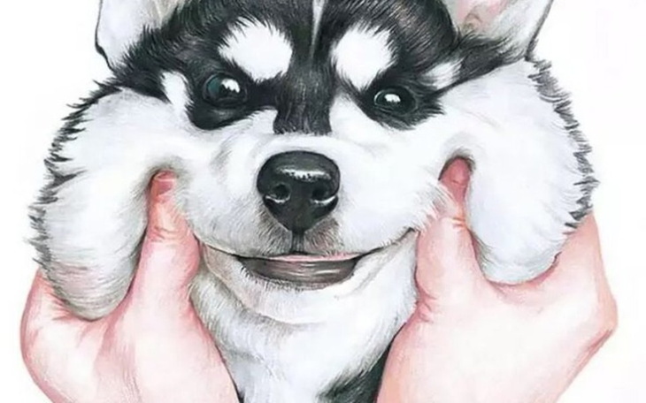 Zbiórka Niespodzianka na 40 - zdjęcie główne