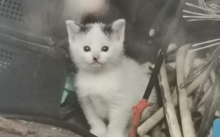 Zbiórka Wsparcie dla maluszków - zdjęcie główne