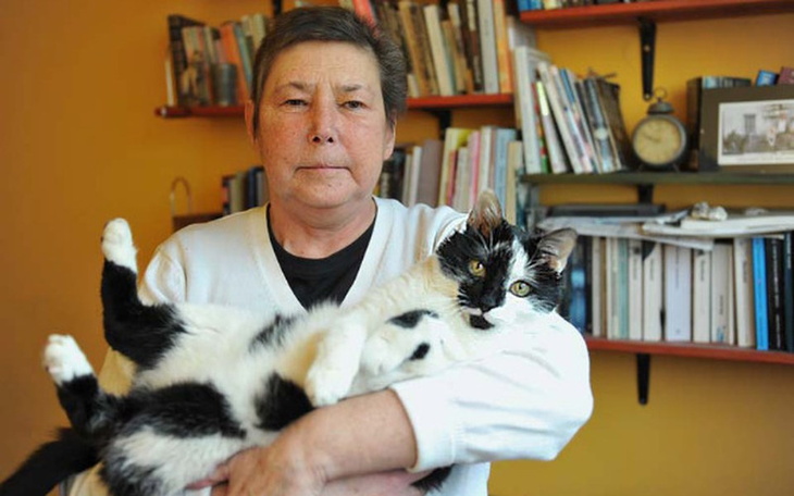 Zbiórka zwyciężyć raka - zdjęcie główne