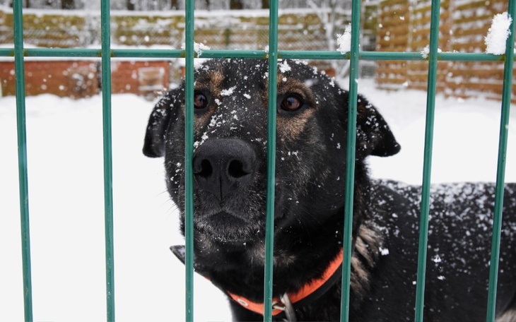 Zbiórka Wiaderko ciepła dla bezdomniaków - zdjęcie główne