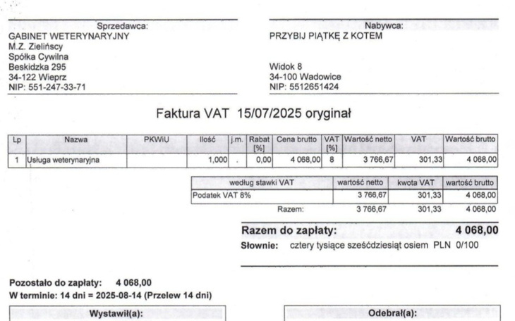 Faktura VAT z danymi sprzedawcy i nabywcy, szczegóły transakcji.
