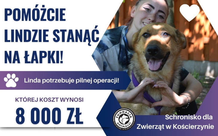 Zbiórka Pomóżmy Lindzie stanąć na nogi - zdjęcie główne