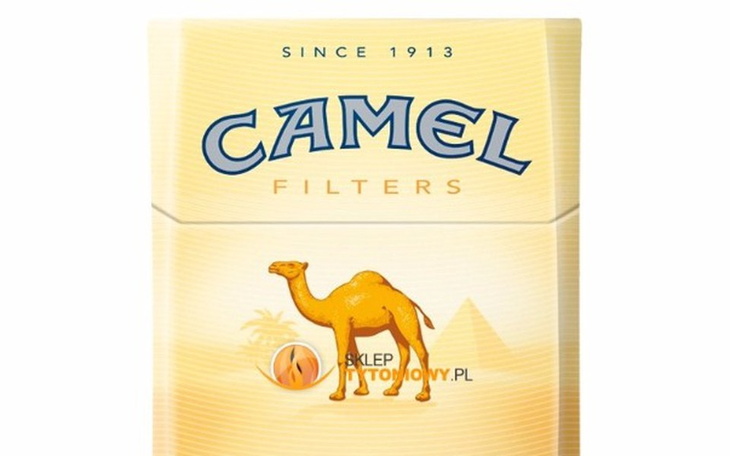 Zbiórka Fajeczki - zdjęcie główne