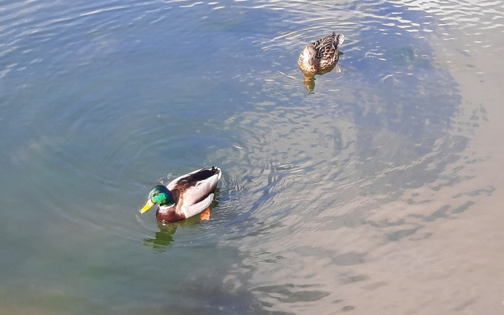 Zbiórka Pomagam znajomej i dla jej dziec - zdjęcie główne