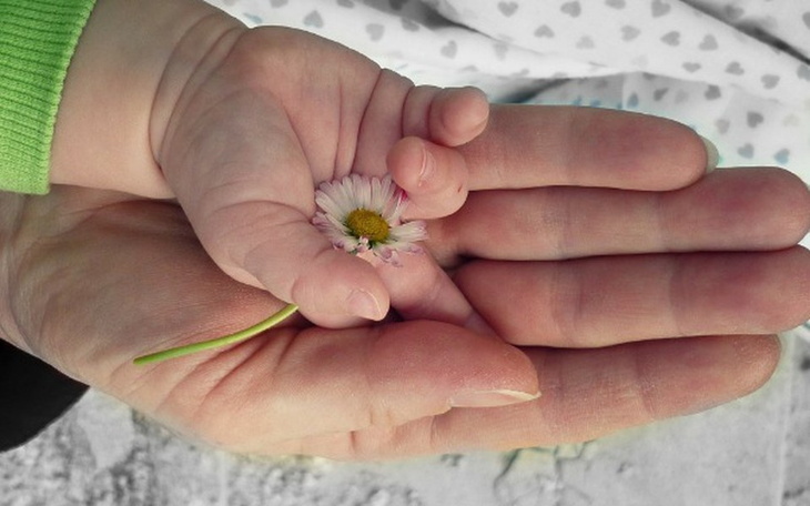 Zbiórka Piekło na ziemi - zdjęcie główne