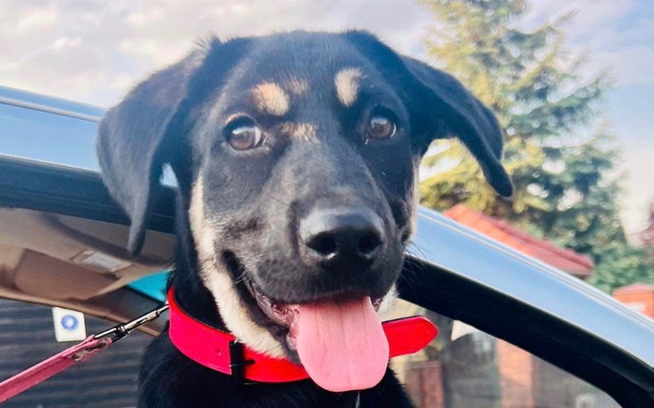 Zbiórka Wsparcie naszych podopiecznych - zdjęcie główne