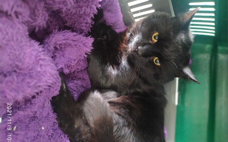 Zbiórka Operacja Prezesa - zdjęcie główne