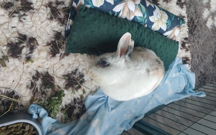 Zbiórka Grzesiowi kończy się czas... - zdjęcie główne