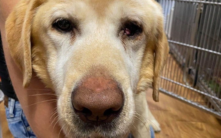 Zbiórka Skiper - zdjęcie główne