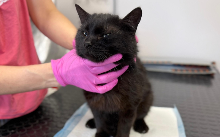 Zbiórka Beko - zdjęcie główne