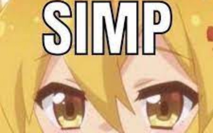 Zbiórka Pomoc dla simpów internetowych - zdjęcie główne