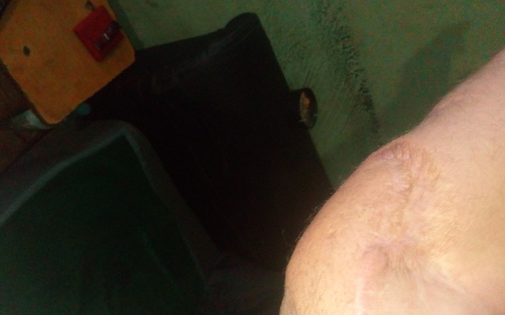 Zbiórka Zbieram pieniądze na ratowanie r - zdjęcie główne