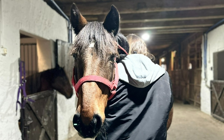 Osoba przytulająca konia w stajni.