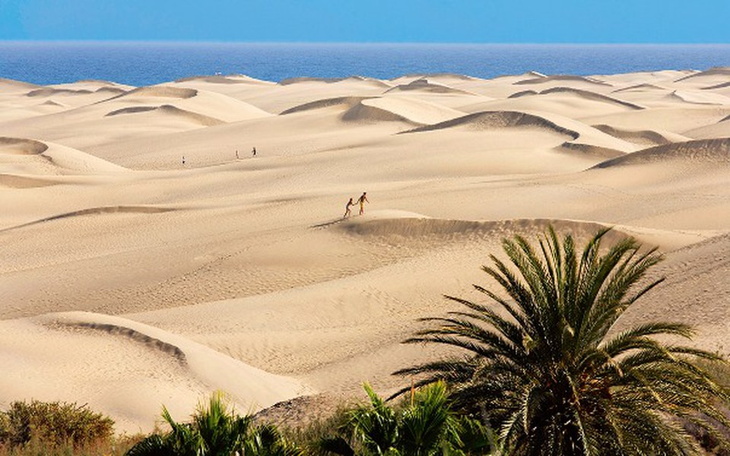 Zbiórka Urlop życia - zdjęcie główne
