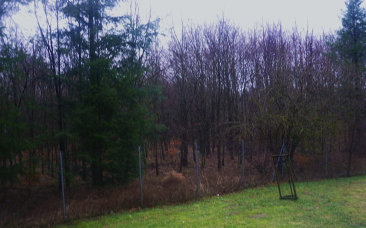 Zbiórka Zbieram na Aparat do zdjęć - zdjęcie główne