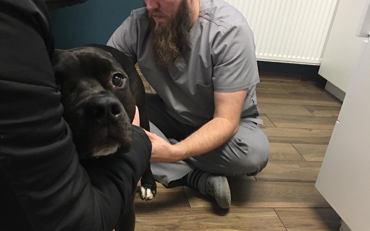 Zbiórka Papi - zdjęcie główne