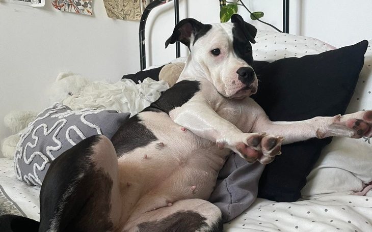 Zbiórka Pomóż Majce - zdjęcie główne