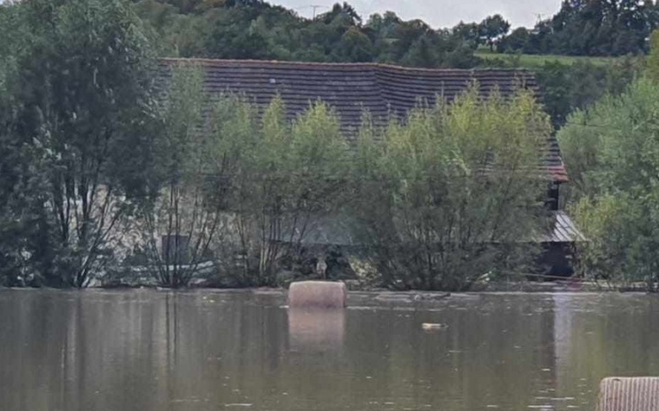 Zbiórka Pomoc dla Ady z Krosnowic - zdjęcie główne