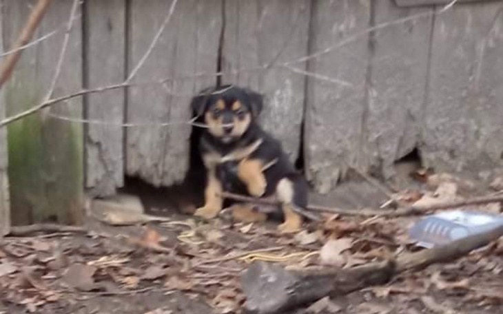 Zbiórka Rodzina ze stodoły - zdjęcie główne